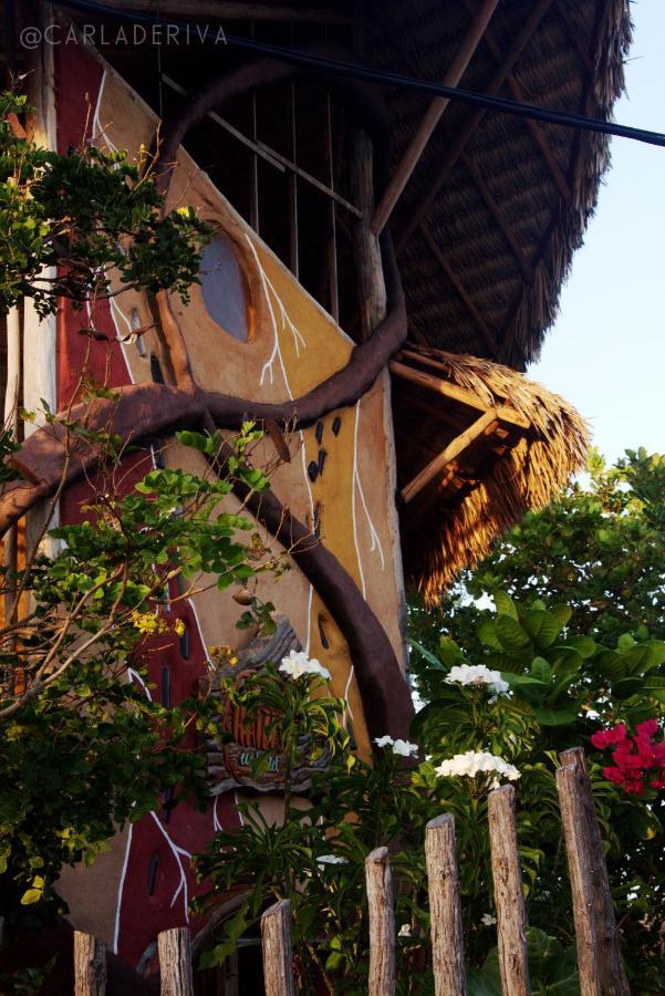 Raizes Eco Hostel 巴拉格兰德 外观 照片