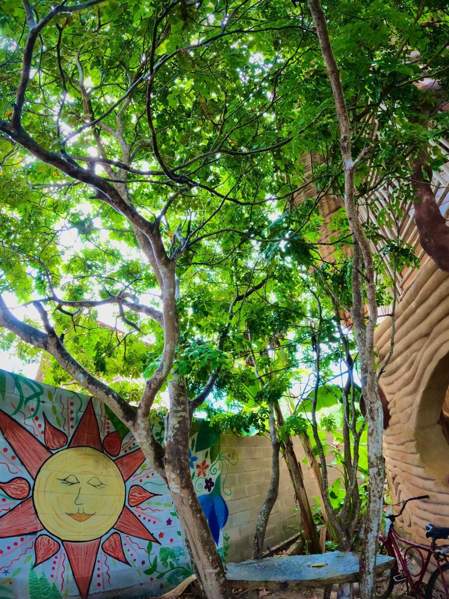 Raizes Eco Hostel 巴拉格兰德 外观 照片