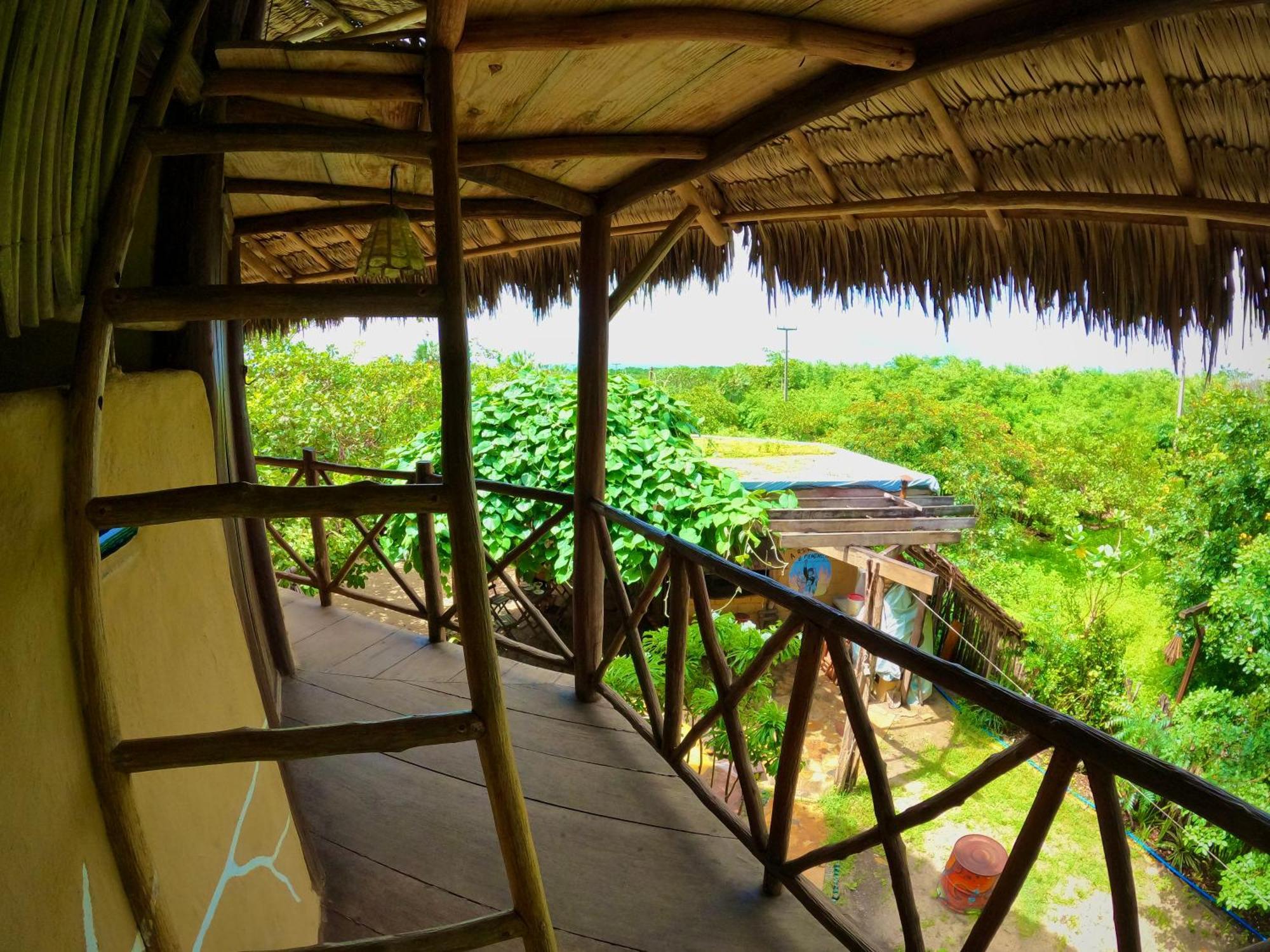 Raizes Eco Hostel 巴拉格兰德 外观 照片