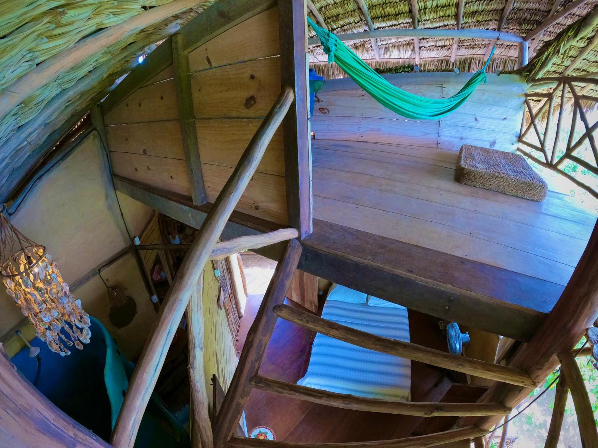 Raizes Eco Hostel 巴拉格兰德 外观 照片
