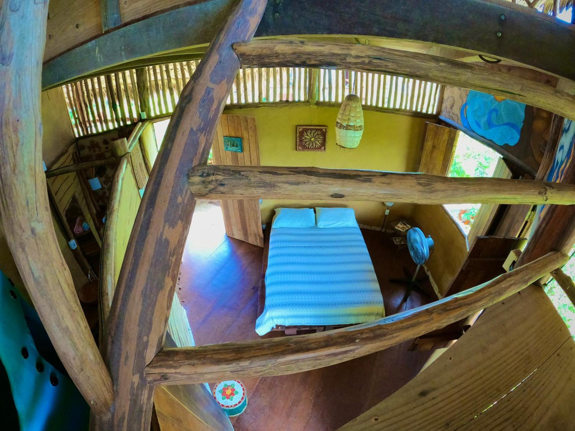 Raizes Eco Hostel 巴拉格兰德 外观 照片