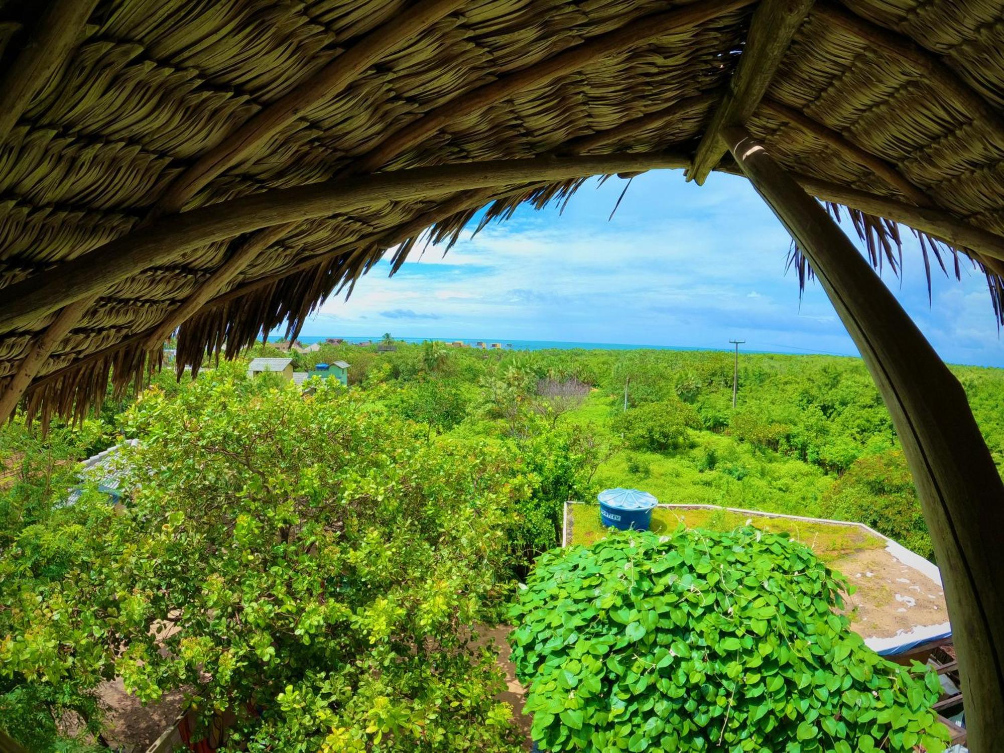 Raizes Eco Hostel 巴拉格兰德 外观 照片