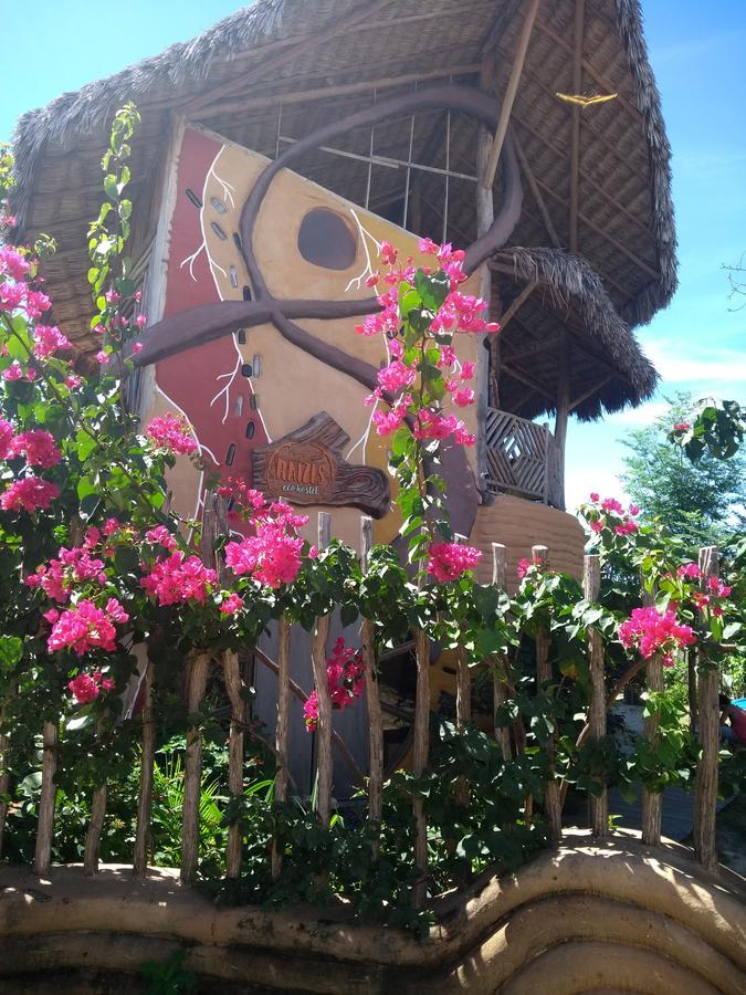 Raizes Eco Hostel 巴拉格兰德 外观 照片