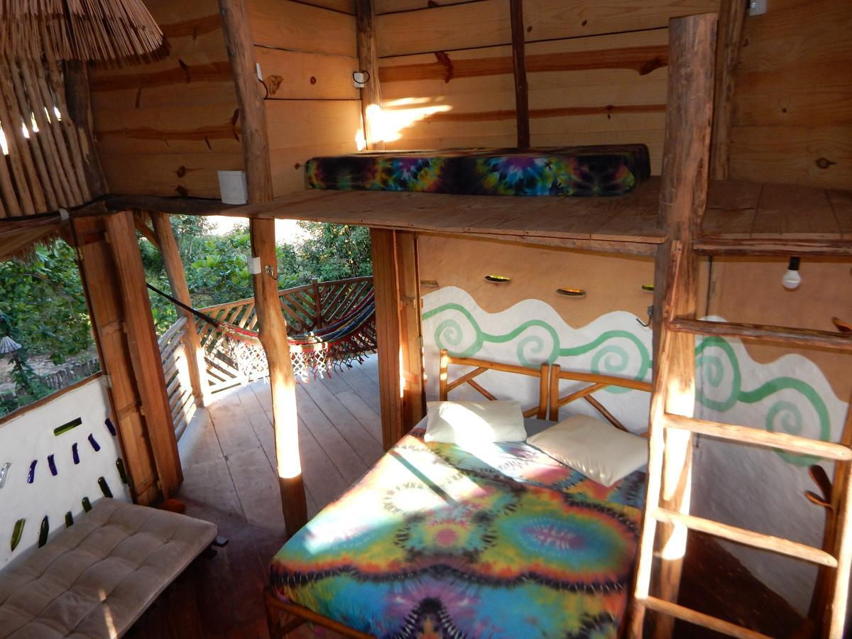 Raizes Eco Hostel 巴拉格兰德 外观 照片