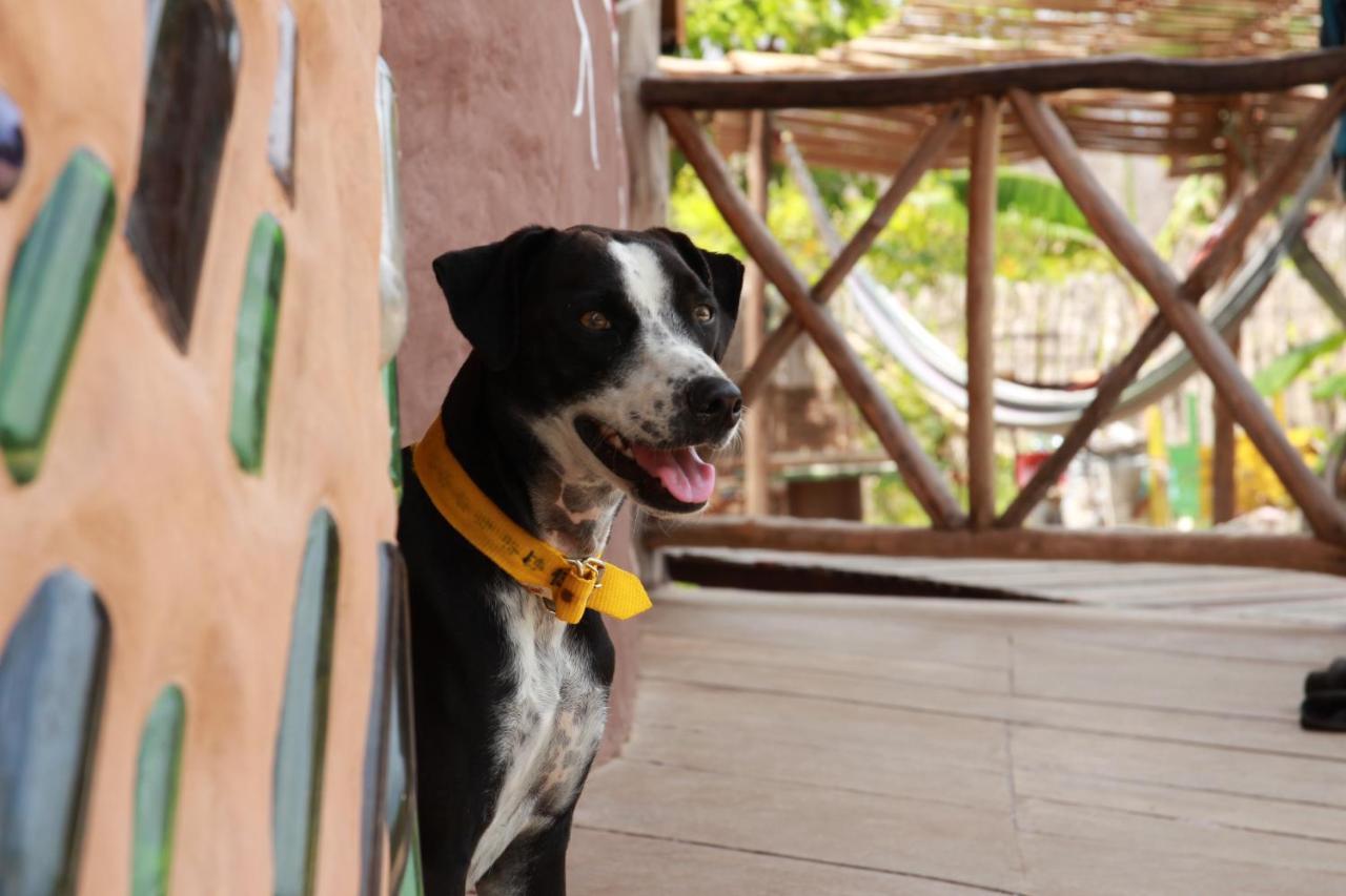 Raizes Eco Hostel 巴拉格兰德 外观 照片