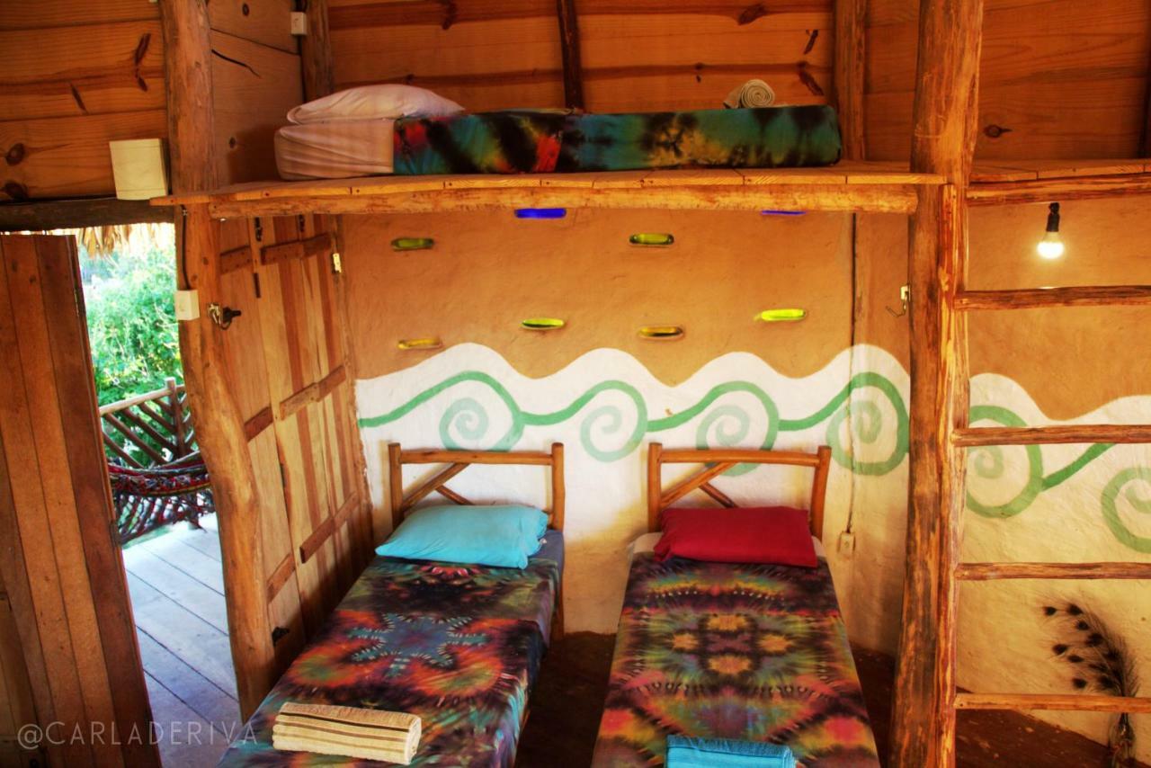 Raizes Eco Hostel 巴拉格兰德 外观 照片