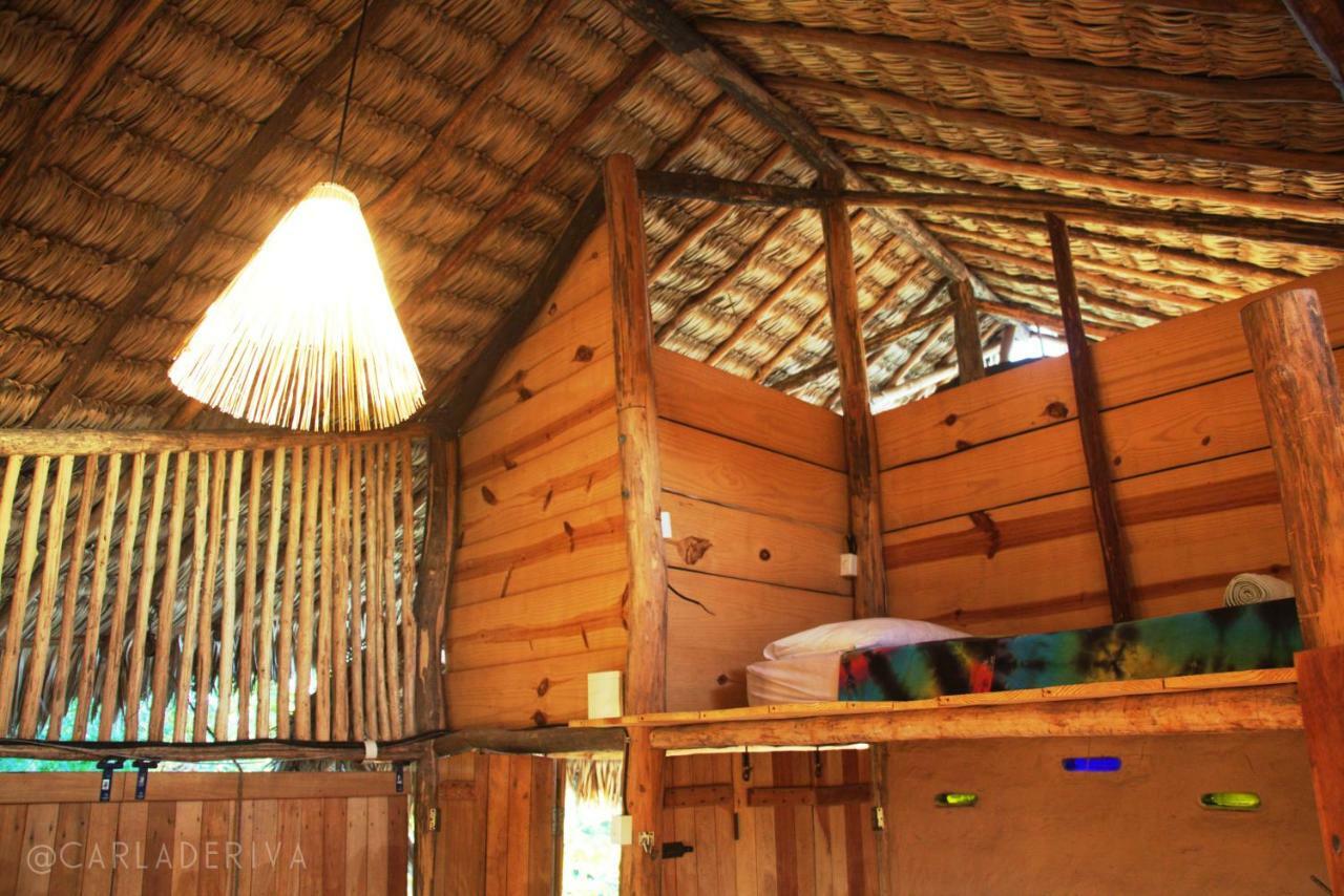 Raizes Eco Hostel 巴拉格兰德 外观 照片
